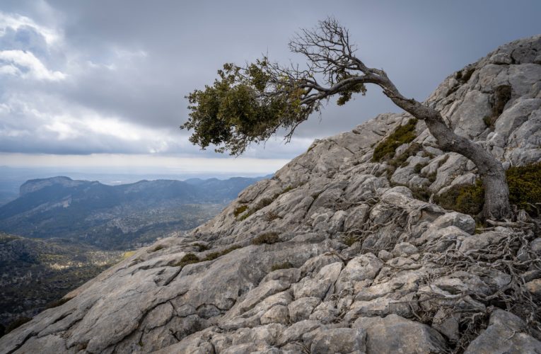 Pflugerville: The Importance of Resilience in Overcoming Trauma